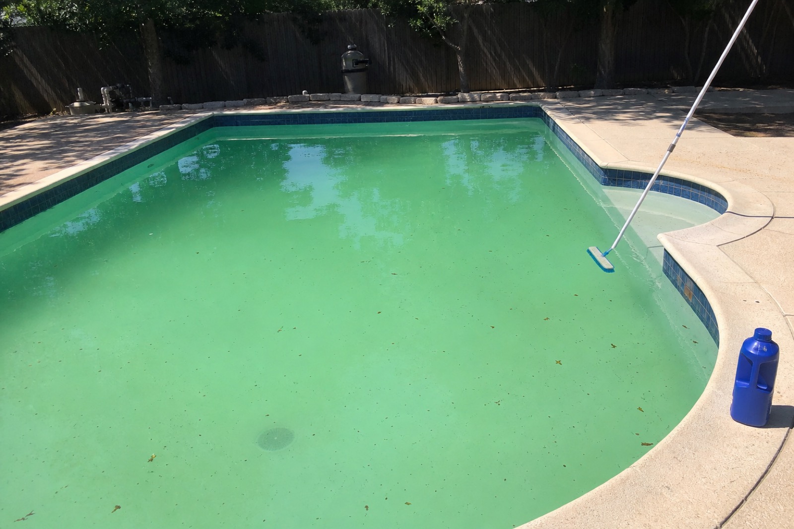 A green algae-bloom residential pool mid-recovery, with a pool brush and granular shock on the deck.